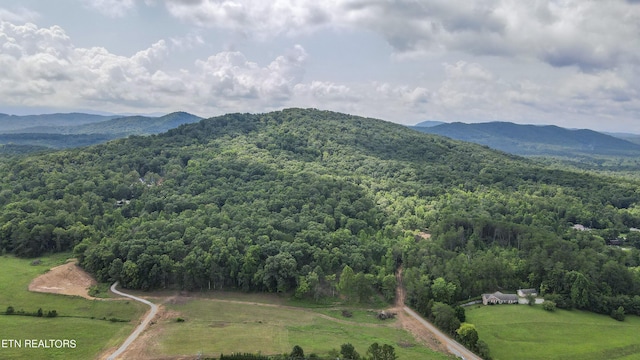 TRC.1 Mecca Pike, Tellico Plains, TN 37385 - photo 13
