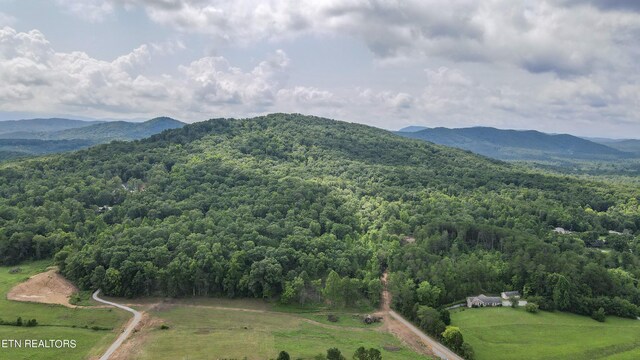 TRC.1 Mecca Pike, Tellico Plains, TN 37385 - photo 14