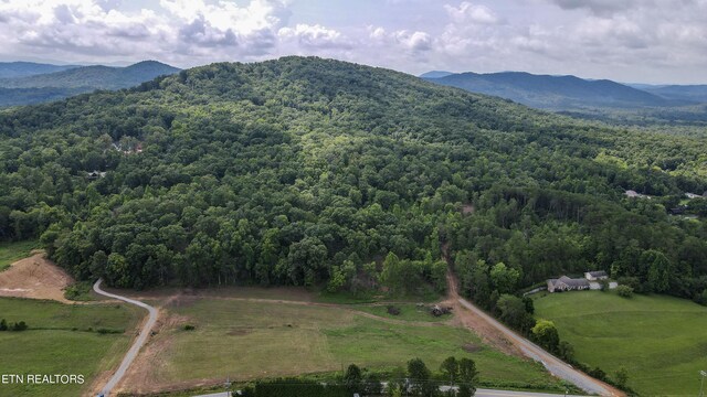 TRC.1 Mecca Pike, Tellico Plains, TN 37385 - photo 15