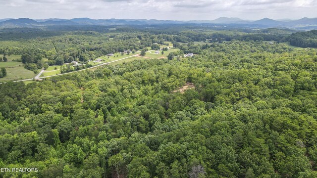 TRC.1 Mecca Pike, Tellico Plains, TN 37385 - photo 16