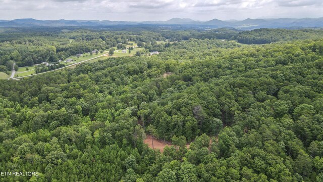 TRC.1 Mecca Pike, Tellico Plains, TN 37385 - photo 18