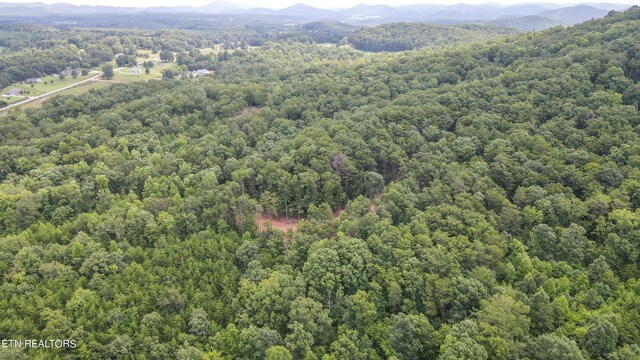 TRC.1 Mecca Pike, Tellico Plains, TN 37385 - photo 19