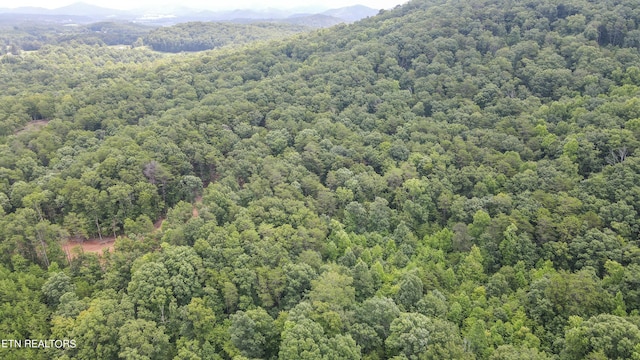 TRC.1 Mecca Pike, Tellico Plains, TN 37385 - photo 20