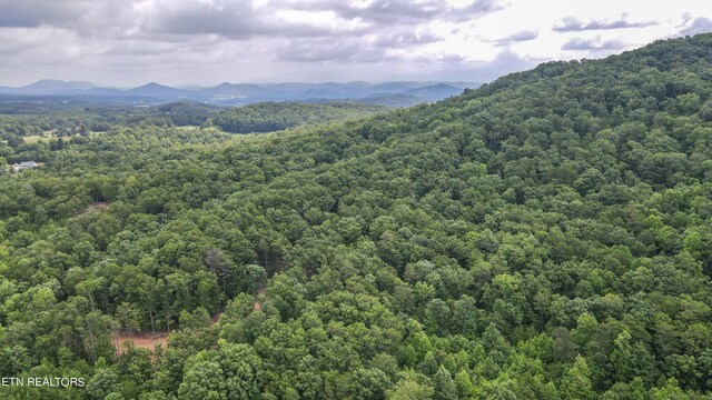 TRC.1 Mecca Pike, Tellico Plains, TN 37385 - photo 21