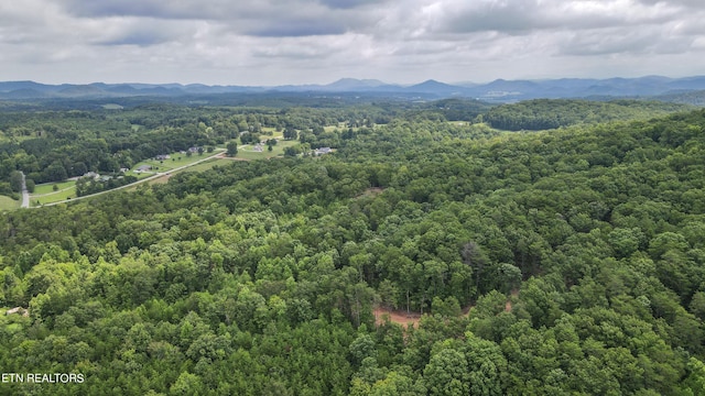 TRC.1 Mecca Pike, Tellico Plains, TN 37385 - photo 22