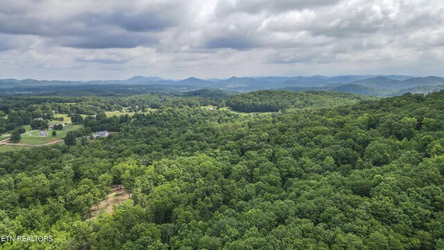 TRC.1 Mecca Pike, Tellico Plains, TN 37385 - photo 23
