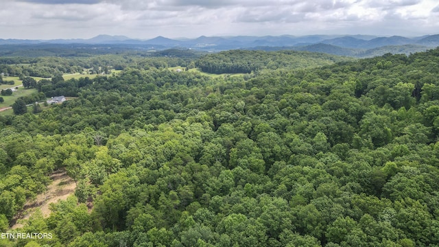 TRC.1 Mecca Pike, Tellico Plains, TN 37385 - photo 24
