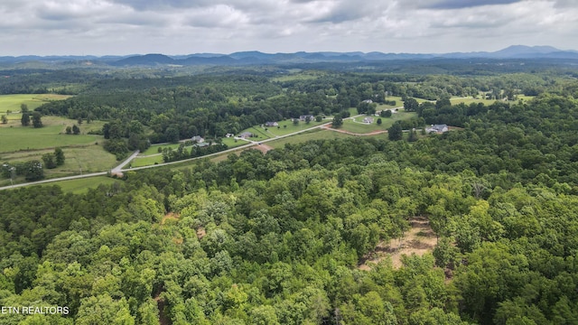 TRC.1 Mecca Pike, Tellico Plains, TN 37385 - photo 25