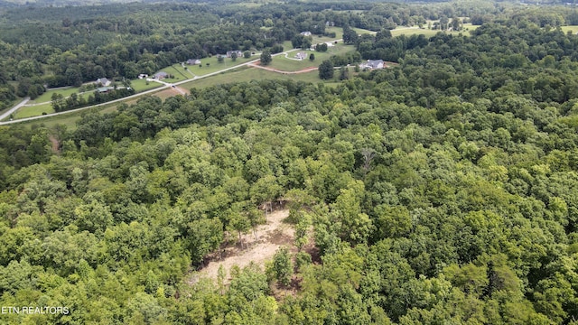 TRC.1 Mecca Pike, Tellico Plains, TN 37385 - photo 26