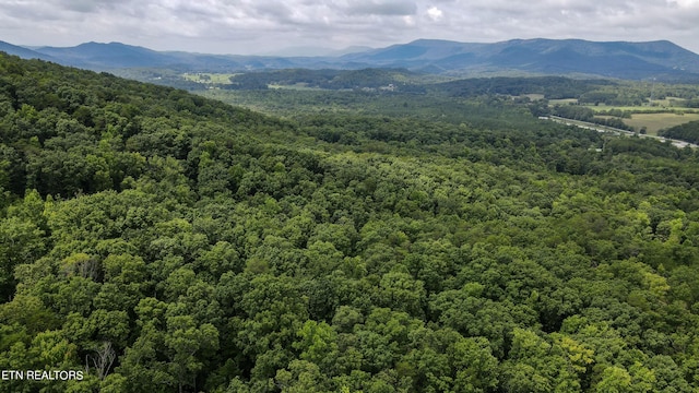 TRC.1 Mecca Pike, Tellico Plains, TN 37385 - photo 27