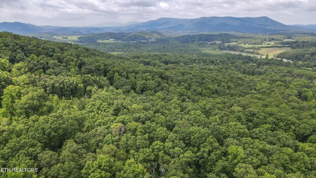 TRC.1 Mecca Pike, Tellico Plains, TN 37385 - photo 10