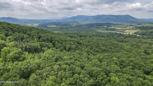 TRC.1 Mecca Pike, Tellico Plains, TN 37385 - photo 2
