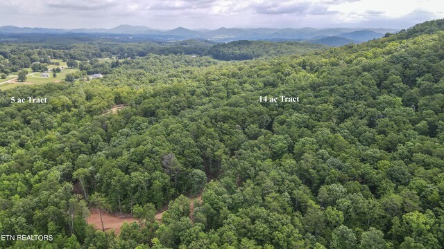 TRC.1 Mecca Pike, Tellico Plains, TN 37385 - photo 31