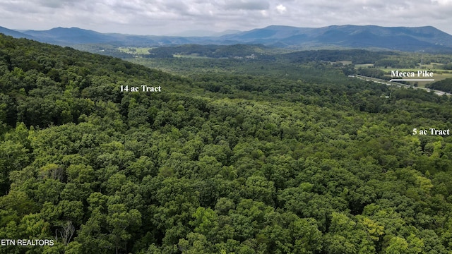 TRC.1 Mecca Pike, Tellico Plains, TN 37385 - photo 32