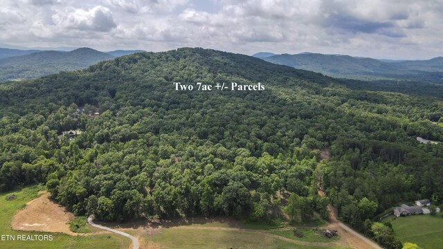 Listing photo 3 for TRC.1 Mecca Pike, Tellico Plains TN 37385