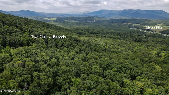 TRC.1 Mecca Pike, Tellico Plains, TN 37385 - photo 4