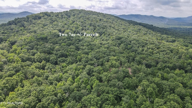 TRC.1 Mecca Pike, Tellico Plains, TN 37385 - photo 5