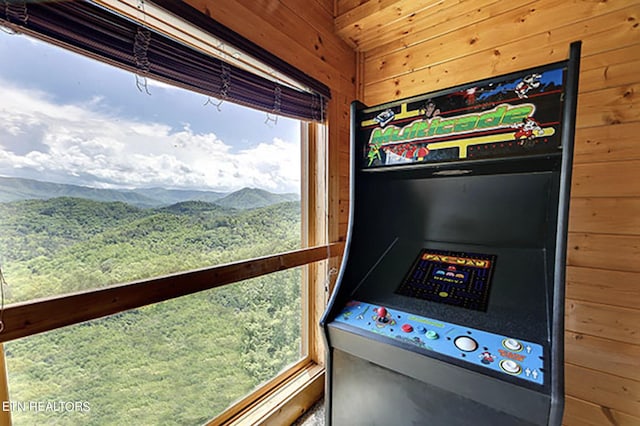 room details with wood walls and a mountain view