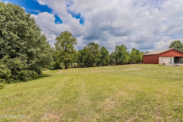 view of yard featuring an outdoor structure