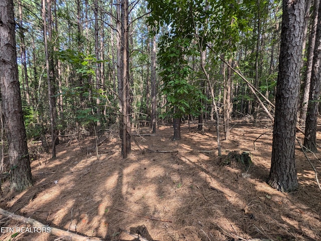 Listing photo 2 for LOT25 Juniper Ct, Spring City TN 37381