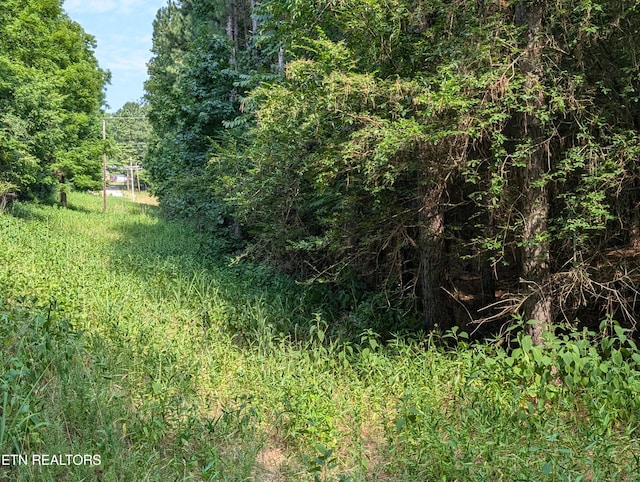 Listing photo 3 for LOT25 Juniper Ct, Spring City TN 37381