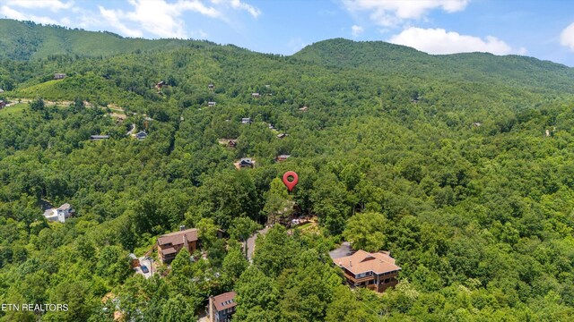 drone / aerial view with a mountain view