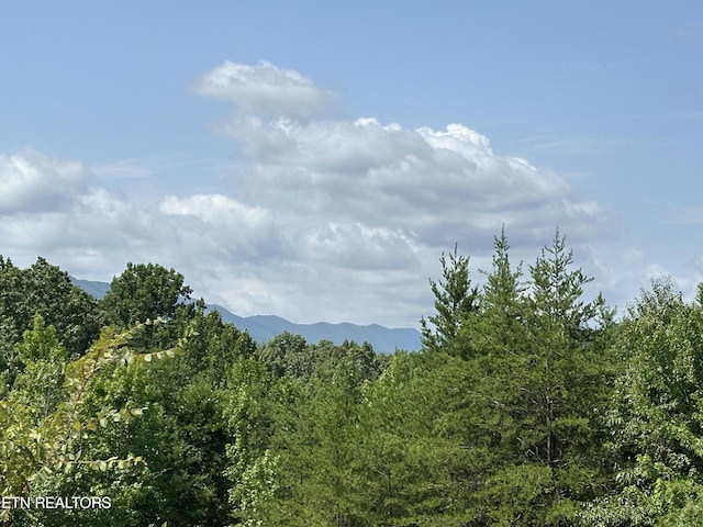 mountain view featuring a view of trees