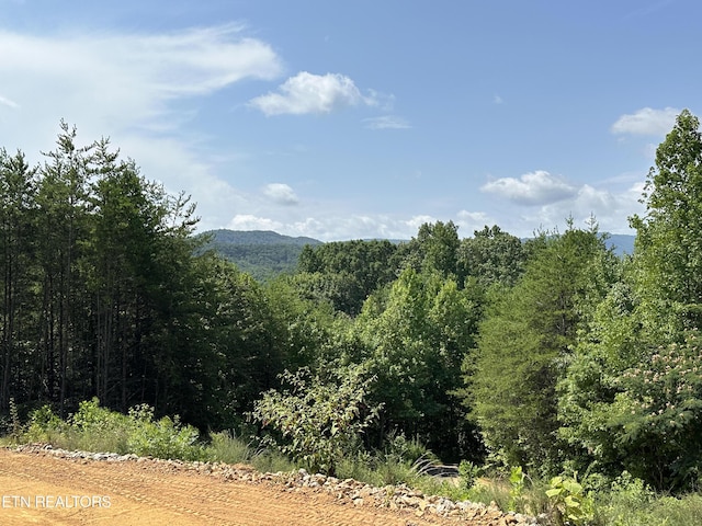 property view of mountains with a view of trees