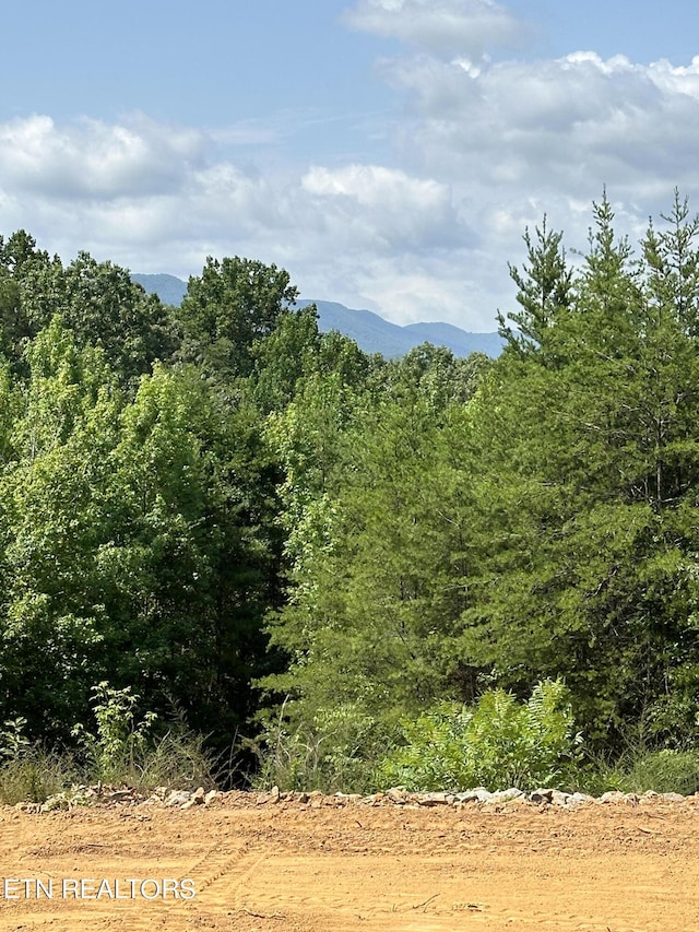 view of mountain feature with a forest view