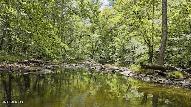 Big Spring Rd, Oneida, TN 37841 - photo 2