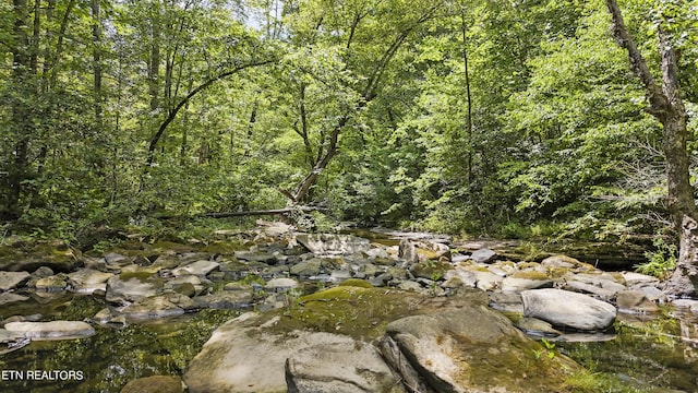 Big Spring Rd, Oneida, TN 37841