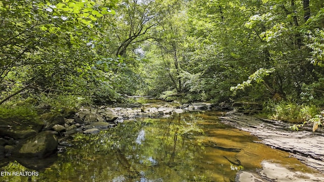 Big Spring Rd, Oneida, TN 37841 - photo 3