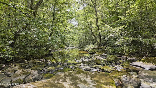 Big Spring Rd, Oneida, TN 37841 - photo 4