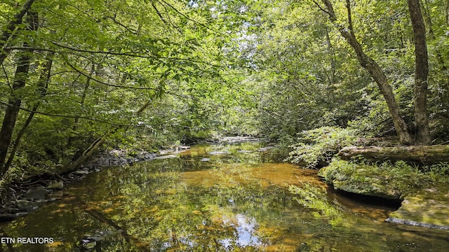 Big Spring Rd, Oneida, TN 37841 - photo 5