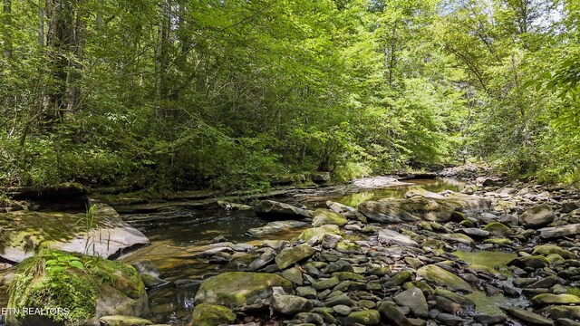 Big Spring Rd, Oneida, TN 37841 - photo 6