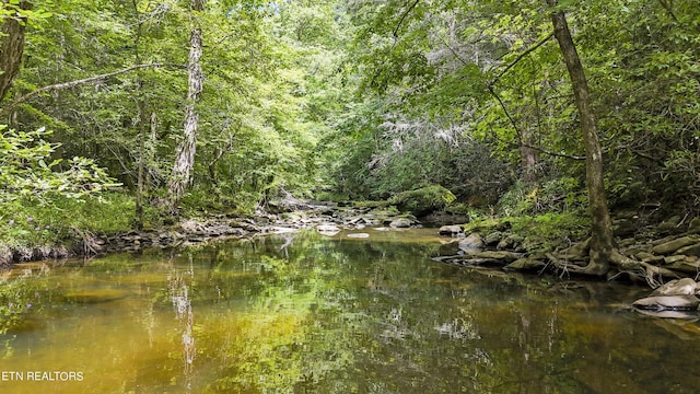 Big Spring Rd, Oneida, TN 37841 - photo 7