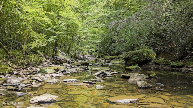 Big Spring Rd, Oneida, TN 37841 - photo 8