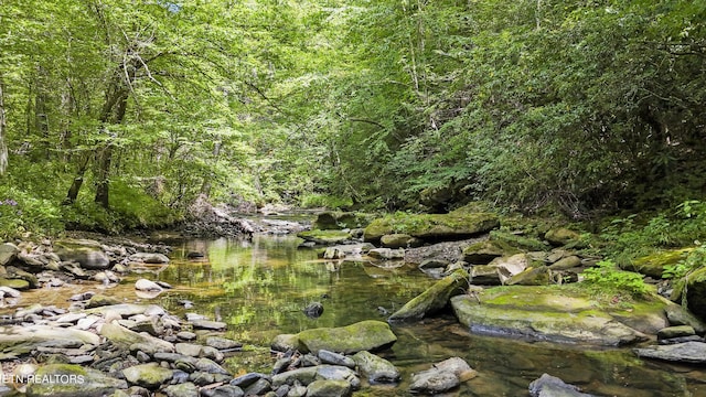 Big Spring Rd, Oneida, TN 37841 - photo 9