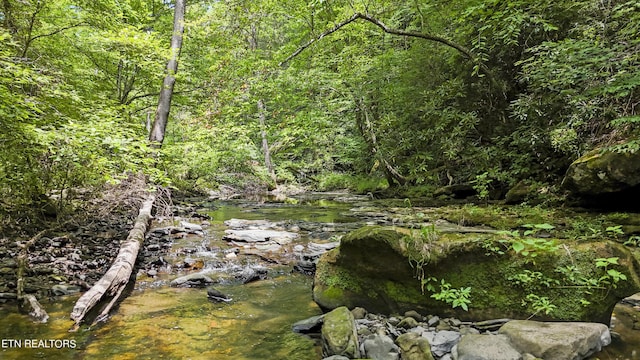 Big Spring Rd, Oneida, TN 37841 - photo 10