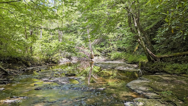 Big Spring Rd, Oneida, TN 37841 - photo 11
