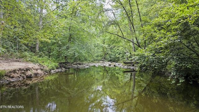 Big Spring Rd, Oneida, TN 37841 - photo 13
