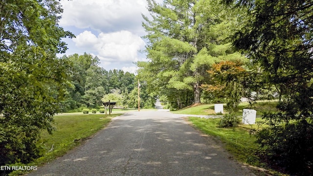 Big Spring Rd, Oneida, TN 37841 - photo 15