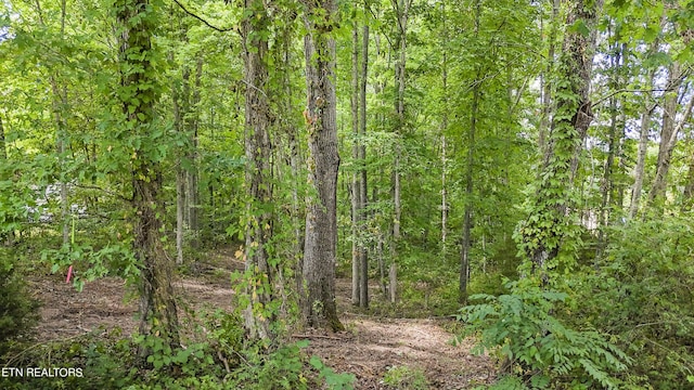 Big Spring Rd, Oneida, TN 37841 - photo 17