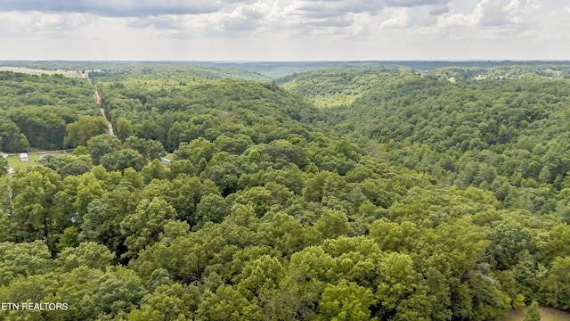 Big Spring Rd, Oneida, TN 37841 - photo 20