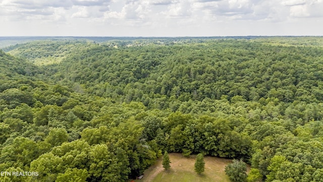 Big Spring Rd, Oneida, TN 37841 - photo 21