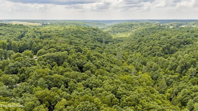 Big Spring Rd, Oneida, TN 37841 - photo 22