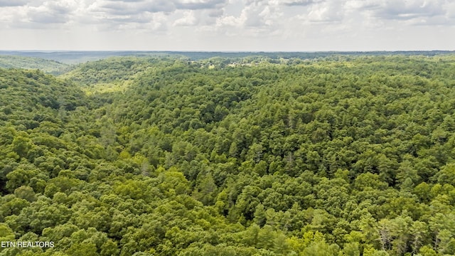 Big Spring Rd, Oneida, TN 37841 - photo 23