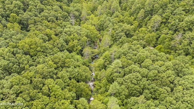 Big Spring Rd, Oneida, TN 37841 - photo 24