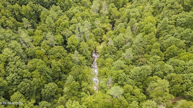 Big Spring Rd, Oneida, TN 37841 - photo 25