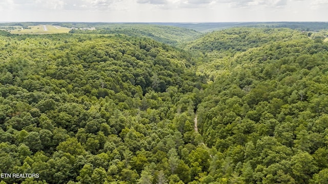 Big Spring Rd, Oneida, TN 37841 - photo 26